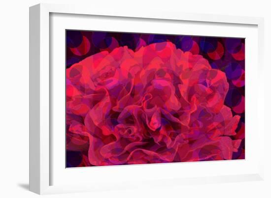 Carnation-Scott J. Davis-Framed Giclee Print