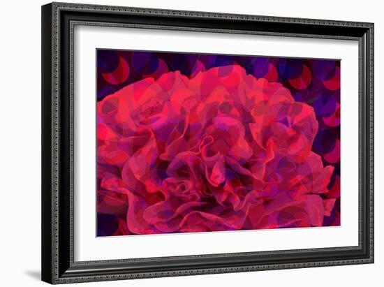 Carnation-Scott J. Davis-Framed Giclee Print