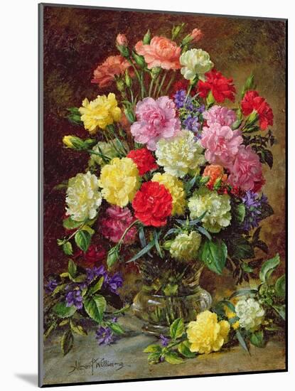 Carnations of Radiant Colours-Albert Williams-Mounted Giclee Print