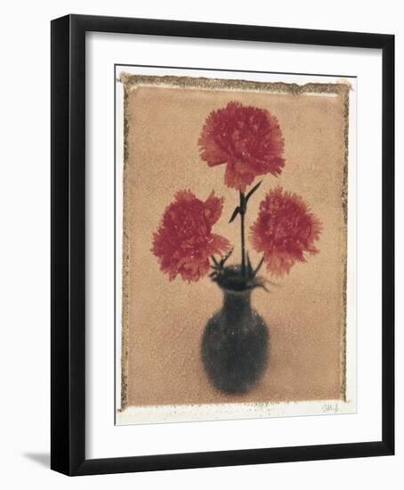 Carnations.-Scott Morrish-Framed Giclee Print