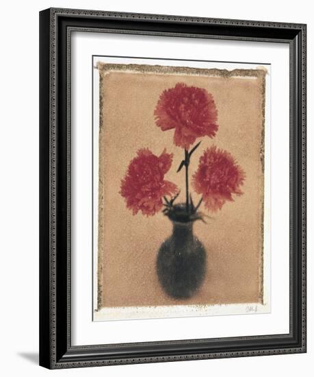 Carnations.-Scott Morrish-Framed Giclee Print