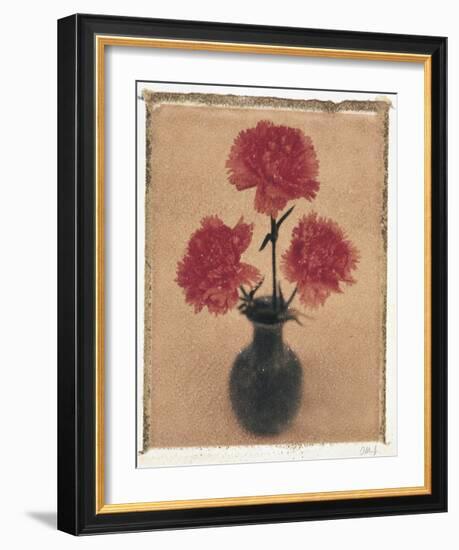 Carnations.-Scott Morrish-Framed Giclee Print