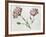 Carnations-Claude Aubriet-Framed Giclee Print