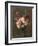 Carnations-Ignace Henri Jean Fantin-Latour-Framed Giclee Print