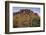 Carnegiea Gigantea, Saguaro Cacti, Hieroglyphic Trail, Lost Dutchman State Park, Arizona, Usa-Rainer Mirau-Framed Premium Photographic Print