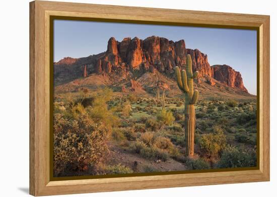 Carnegiea Gigantea, Saguaro Cacti, Hieroglyphic Trail, Lost Dutchman State Park, Arizona, Usa-Rainer Mirau-Framed Premier Image Canvas