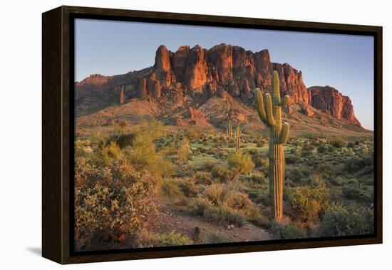 Carnegiea Gigantea, Saguaro Cacti, Hieroglyphic Trail, Lost Dutchman State Park, Arizona, Usa-Rainer Mirau-Framed Premier Image Canvas