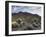 Carnegiea Gigantea, Saguaro Cacti, Hieroglyphic Trail, Lost Dutchman State Park, Arizona, Usa-Rainer Mirau-Framed Photographic Print