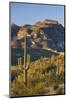 Carnegiea Gigantea, Sonora Desert, Near Phoenix, Arizona, Usa-Rainer Mirau-Mounted Photographic Print