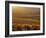 Carneros Ava. Scenic, Carneros, Napa Valley, California-Karen Muschenetz-Framed Photographic Print