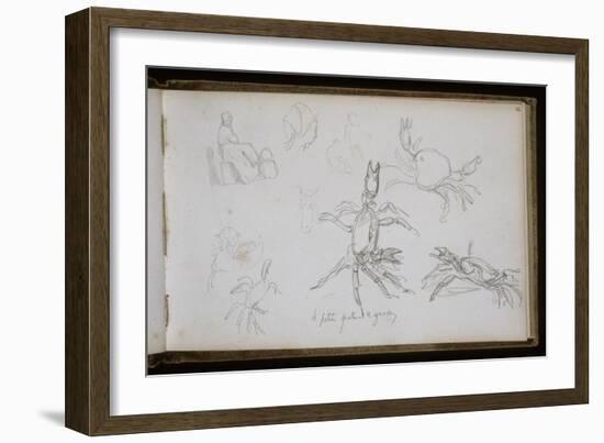 Carnet de croquis : études de crabe-William Adolphe Bouguereau-Framed Giclee Print