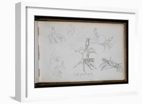 Carnet de croquis : études de crabe-William Adolphe Bouguereau-Framed Giclee Print