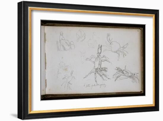 Carnet de croquis : études de crabe-William Adolphe Bouguereau-Framed Giclee Print