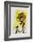 Carnets Intimes VI-Georges Braque-Framed Collectable Print