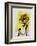 Carnets Intimes VI-Georges Braque-Framed Collectable Print