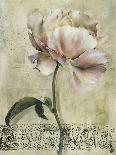 Floral Blush II-Carney-Giclee Print