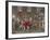 Carnival in Rome, Festival of the Moccoletti (Tapers), Italy, 19th Century-null-Framed Giclee Print