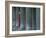 Carnival Model in Red Cape and Gold Mask Peering from Columns in St. Mark's Square, Veneto, Italy-Lee Frost-Framed Photographic Print