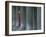 Carnival Model in Red Cape and Gold Mask Peering from Columns in St. Mark's Square, Veneto, Italy-Lee Frost-Framed Photographic Print