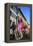 Carnival of Basel (Basler Fasnacht), Basel, Canton of Basel City, Switzerland, Europe-Hans-Peter Merten-Framed Premier Image Canvas