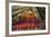 Carnival Parade at the Sambodrome, Rio de Janeiro, Brazil, South America-Yadid Levy-Framed Photographic Print