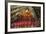 Carnival Parade at the Sambodrome, Rio de Janeiro, Brazil, South America-Yadid Levy-Framed Photographic Print