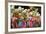 Carnival Parade at the Sambodrome, Rio de Janeiro, Brazil, South America-Yadid Levy-Framed Photographic Print