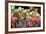 Carnival Parade at the Sambodrome, Rio de Janeiro, Brazil, South America-Yadid Levy-Framed Photographic Print