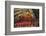 Carnival Parade at the Sambodrome, Rio de Janeiro, Brazil, South America-Yadid Levy-Framed Photographic Print