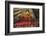 Carnival Parade at the Sambodrome, Rio de Janeiro, Brazil, South America-Yadid Levy-Framed Photographic Print