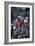 Carnival, St. Georges, Grenada-null-Framed Photographic Print