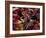 Carnival, Trinidad, West Indies, Caribbean, Central America-Adam Woolfitt-Framed Photographic Print