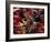 Carnival, Trinidad, West Indies, Caribbean, Central America-Adam Woolfitt-Framed Photographic Print