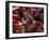 Carnival, Trinidad, West Indies, Caribbean, Central America-Adam Woolfitt-Framed Photographic Print