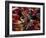 Carnival, Trinidad, West Indies, Caribbean, Central America-Adam Woolfitt-Framed Photographic Print