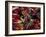 Carnival, Trinidad, West Indies, Caribbean, Central America-Adam Woolfitt-Framed Photographic Print