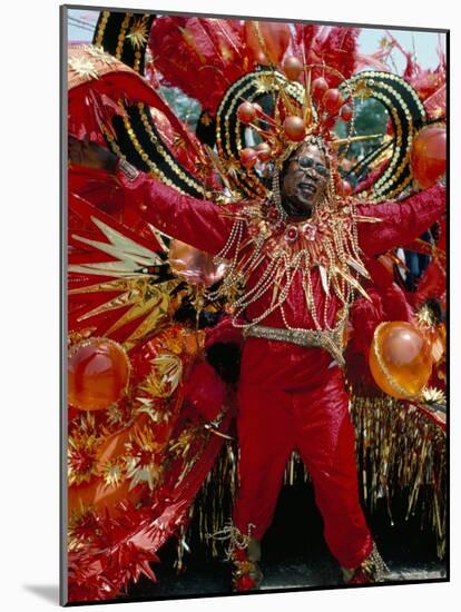 Carnival, Trinidad, West Indies, Caribbean, Central America-Adam Woolfitt-Mounted Photographic Print