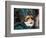 Carnival, Venice, Italy-Sergio Pitamitz-Framed Photographic Print