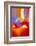 Carnival-Douglas Taylor-Framed Photographic Print