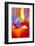 Carnival-Douglas Taylor-Framed Photographic Print