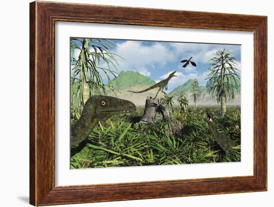 Carnivorous Juravenators Hunting During the Jurassic Period of Time-Stocktrek Images-Framed Art Print