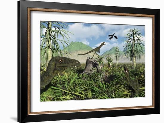 Carnivorous Juravenators Hunting During the Jurassic Period of Time-Stocktrek Images-Framed Art Print