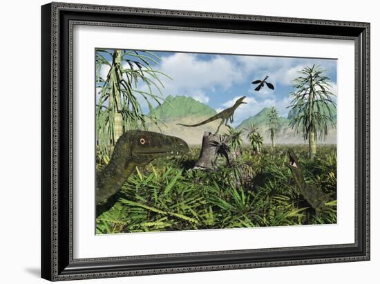 Carnivorous Juravenators Hunting During the Jurassic Period of Time-Stocktrek Images-Framed Art Print