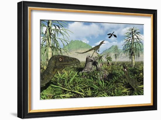 Carnivorous Juravenators Hunting During the Jurassic Period of Time-Stocktrek Images-Framed Art Print