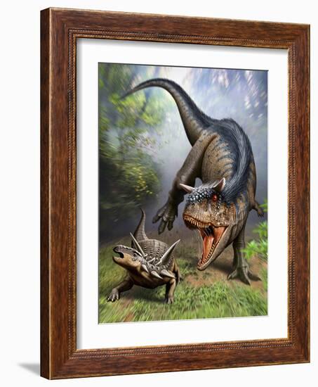 Carnotaurus Attacking an Antarctopelta Armored Dinosaur-Stocktrek Images-Framed Art Print