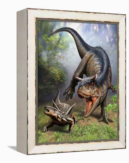 Carnotaurus Attacking an Antarctopelta Armored Dinosaur-Stocktrek Images-Framed Stretched Canvas