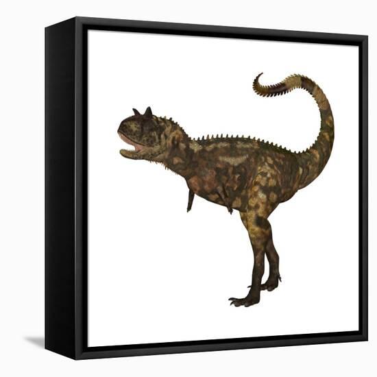 Carnotaurus Dinosaur-Stocktrek Images-Framed Stretched Canvas