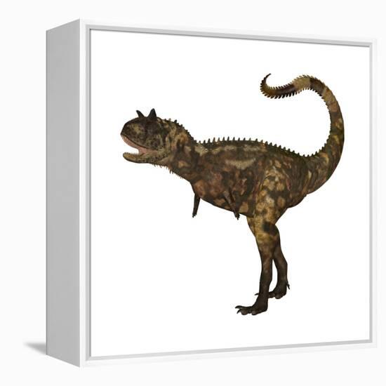 Carnotaurus Dinosaur-Stocktrek Images-Framed Stretched Canvas