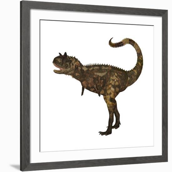 Carnotaurus Dinosaur-Stocktrek Images-Framed Art Print