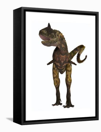 Carnotaurus Dinosaur-Stocktrek Images-Framed Stretched Canvas